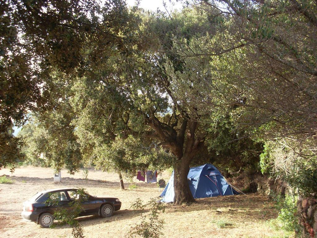 فيلا Agriturismo Su Nuragheddu Galtellì المظهر الخارجي الصورة